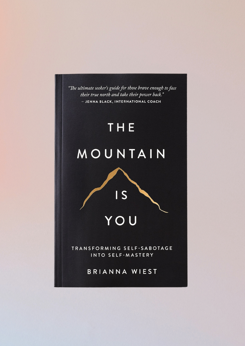 Brianna Wiest -  The Mountain Is You