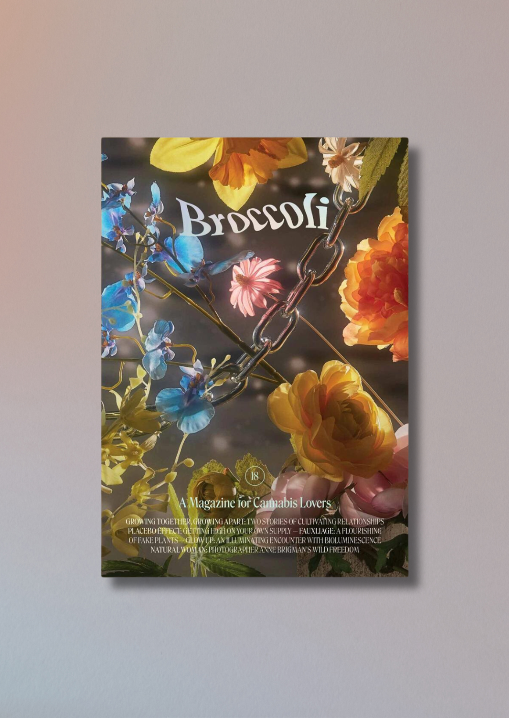Brocolli Magazine Issue 18