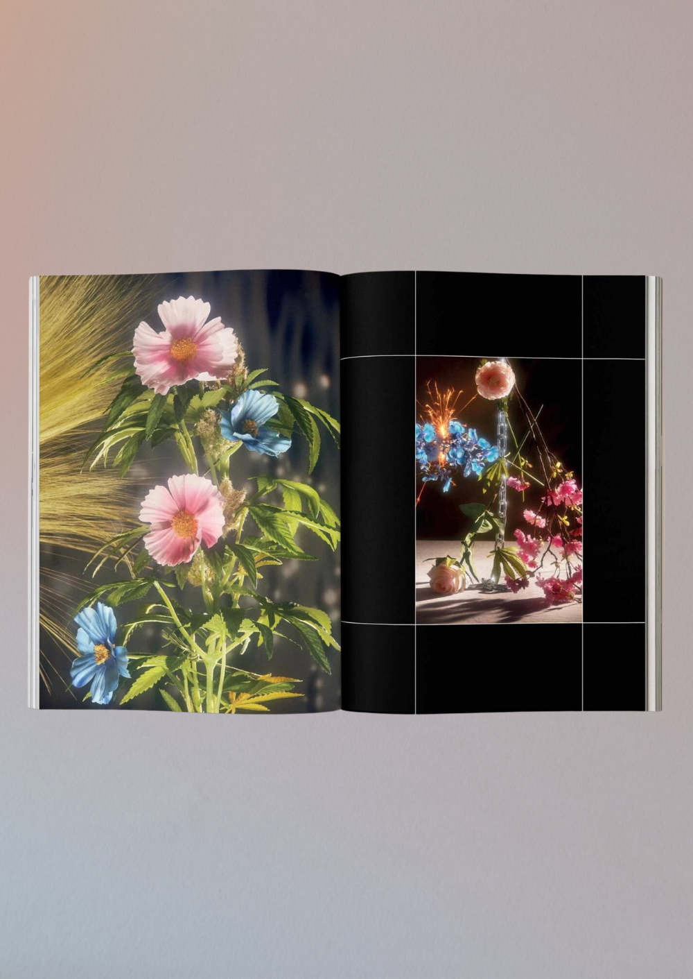 Brocolli Magazine Issue 18