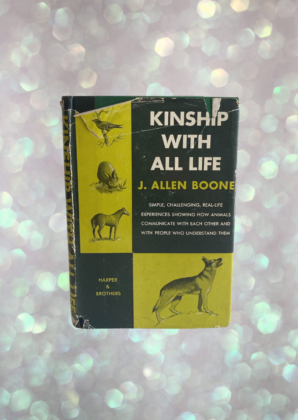 Allen Boone - Kinship With All Life