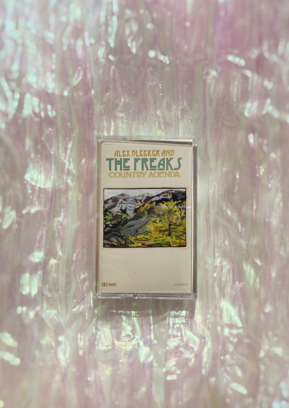 Alex Bleeker and the Freaks - Country Agenda Cassette