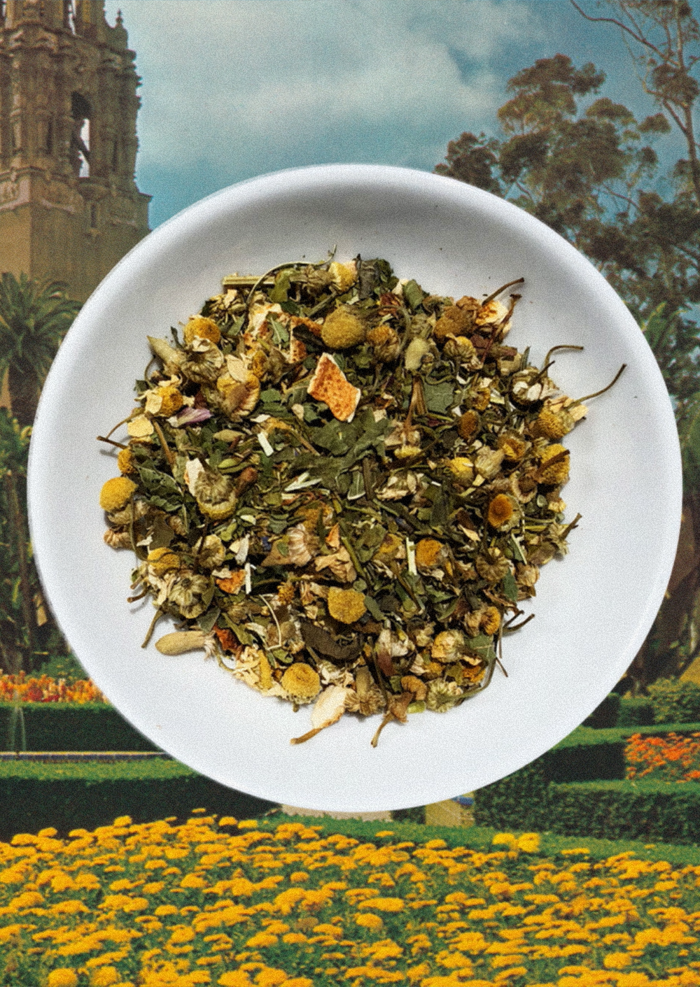 Flowerhead Tea Wellness