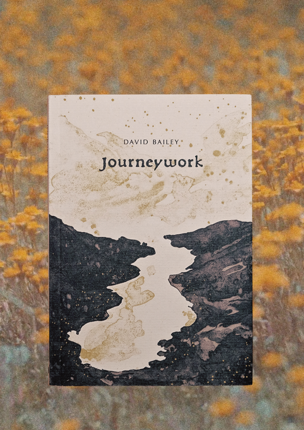 David Bailey - Journeywork