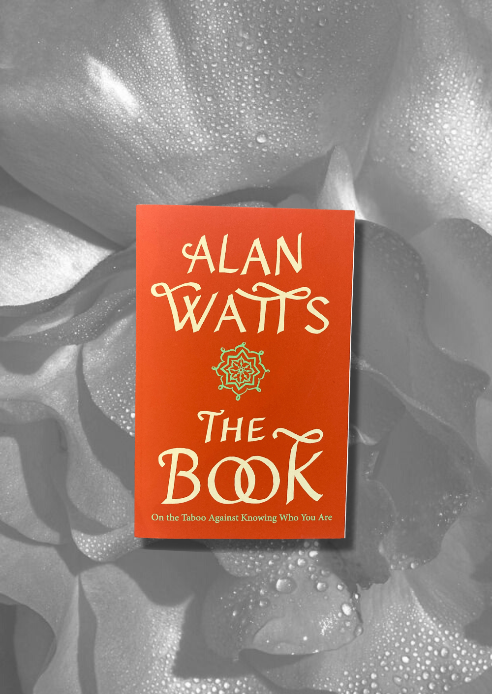 Alan Watts - The Book: On the Taboo of Knowing Who You Are