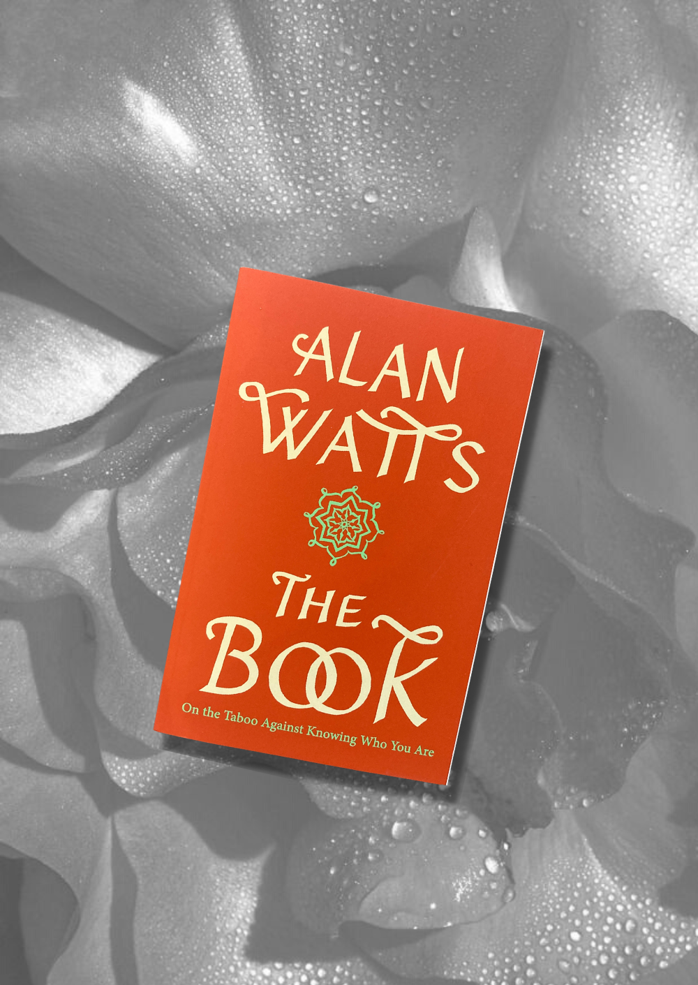 Alan Watts - The Book: On the Taboo of Knowing Who You Are