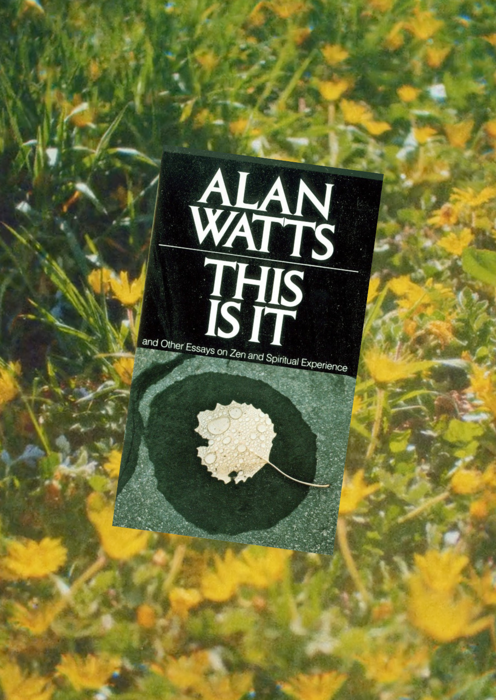 Alan Watts - This is it